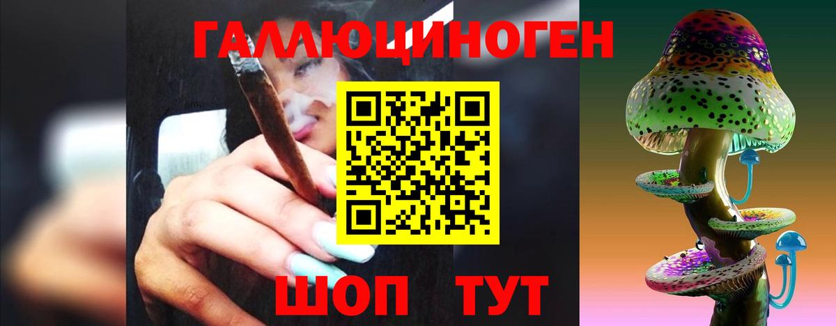 Галлюциногенные грибы Magic Shrooms Городец